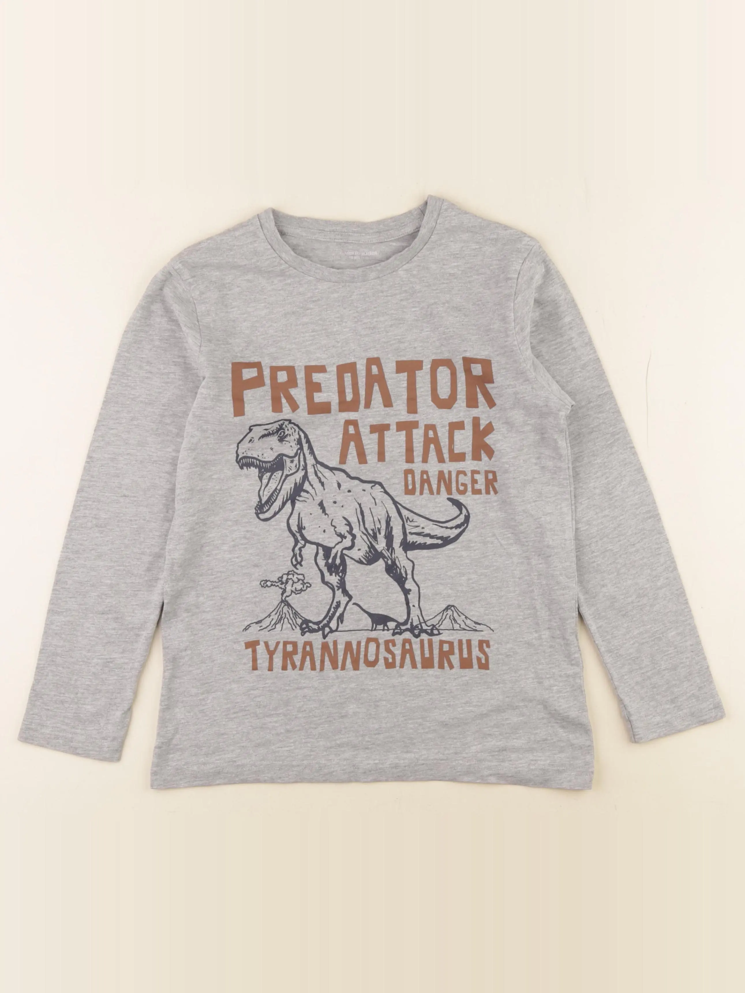 Tee-shirt gris
