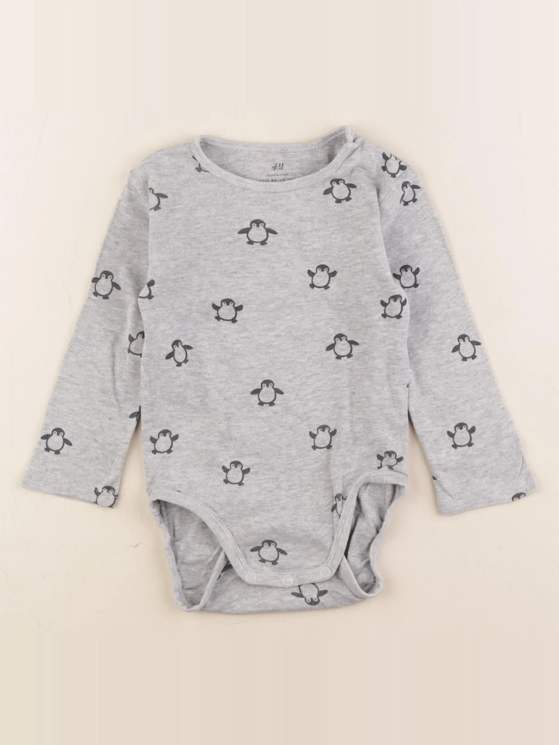 Body gris
