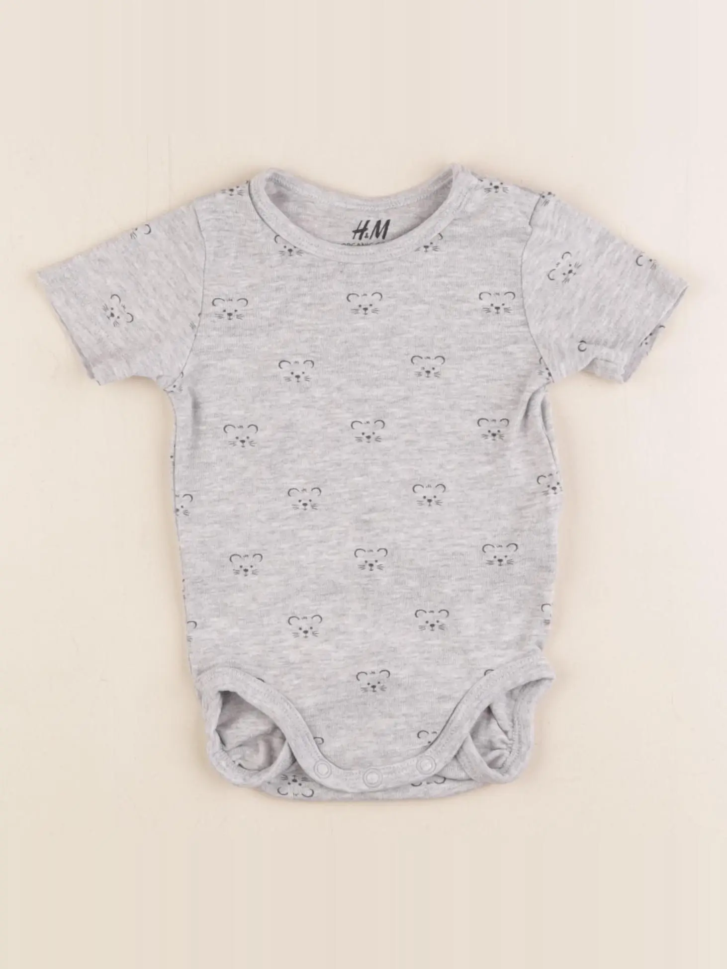 Body gris
