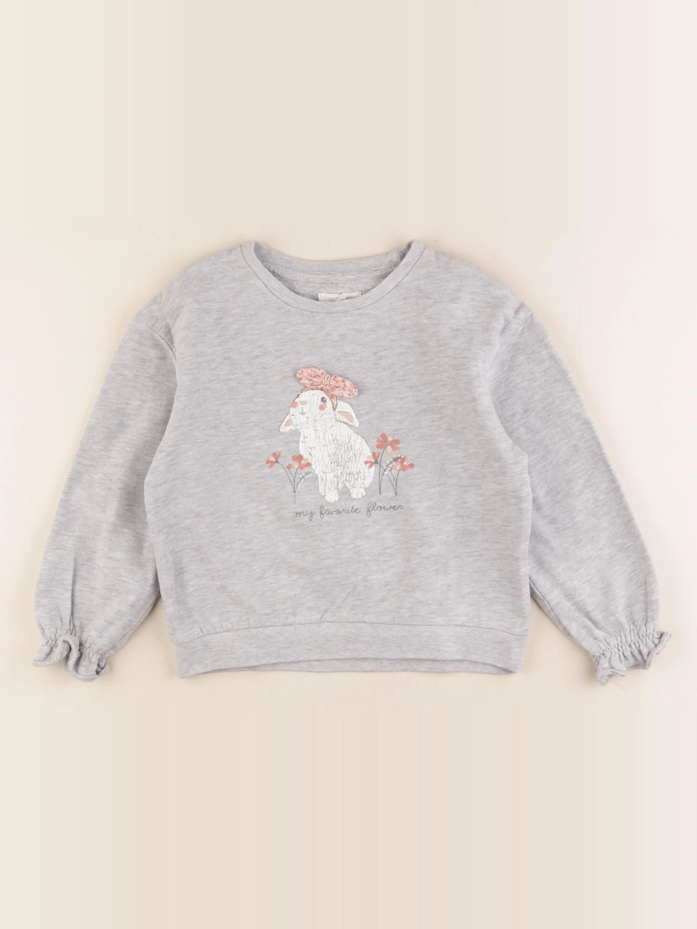 Sweat gris